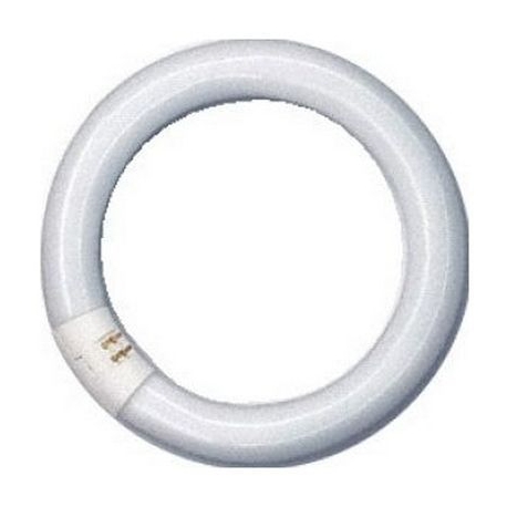 NEON CIRCOLARE 22W 216MM NECTA 098338 - IQN743