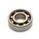 ROLLING 17X40X12 F6203 - PQQ194