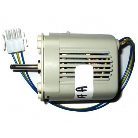 MOTORE MTR54/28 230V/0.22A/49W TC100AL31 - IQN847