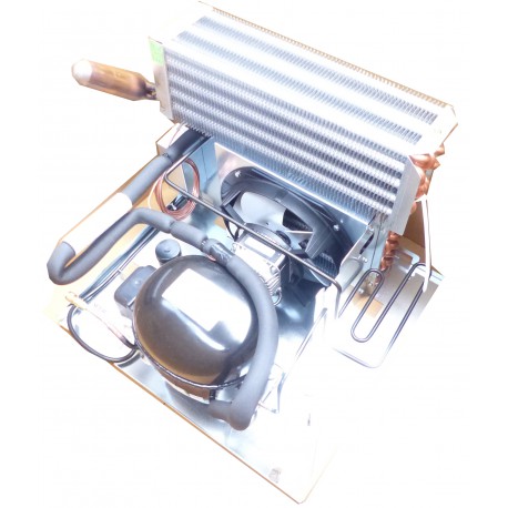 GROUP COLD SNAKKY MAX NECTA 255367 HERKUNFT - MQN991