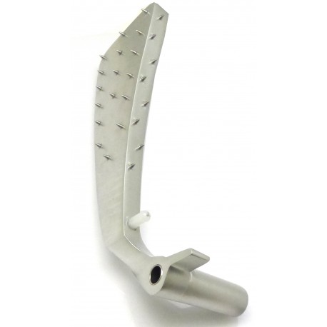GERMOGLIO TALLONE - FEQ6585