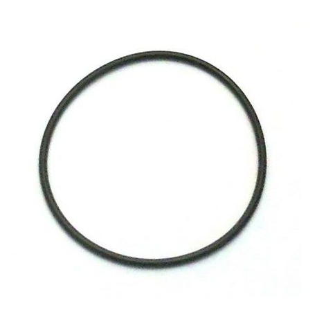 GUARNIZIONE O RING MF Ã­INT:101.2MM SPESSORE 3.53MM - FPQ813