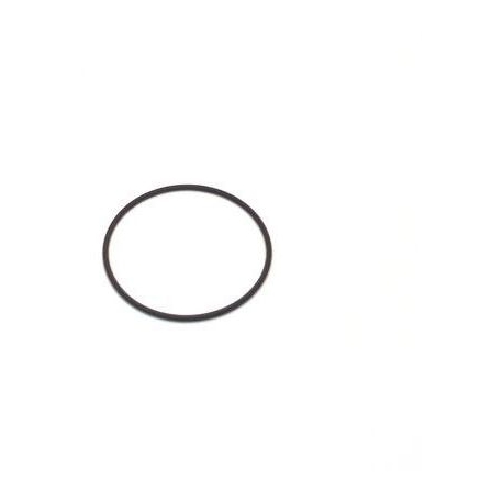 GUARNIZIONE O RING - FPQ975