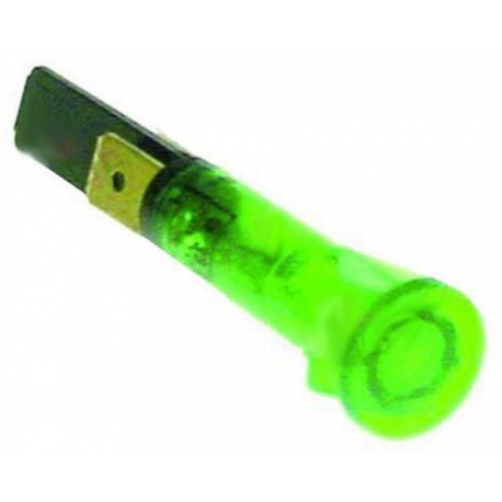 GREEN WITNESS A - SBQ6602