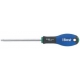 SCREWDRIVER TORX TT20 X 80MM BGS