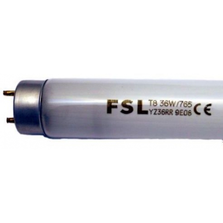 LAMP FLUO 36W - FBZQ6458