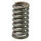 SPRINGS REDUCER PRESSURE