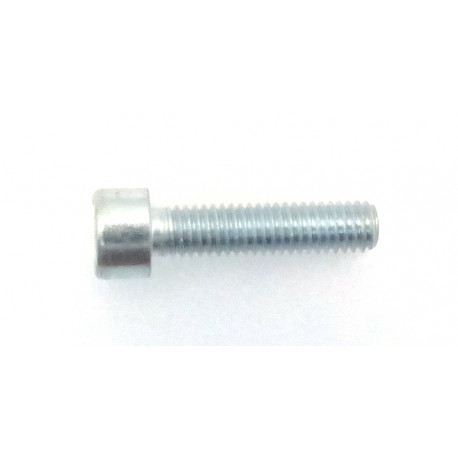 SCREW NECTA 096194/LAVAZZA 255041 L:25MM M6 - MQN869
