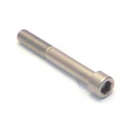 SCREW M12X90MM HEAD HEX HOLLOW INOX - TIQ11870