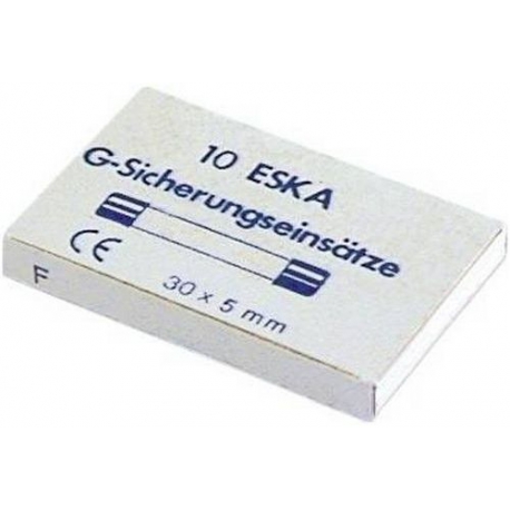 SICHERUNG 5X30MM 10A SEMI TEMPORIZED PAR 10 - TIQ8385