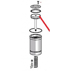 KAMMER VON KOLBEN D50MM HERKUNFT CIMBALI