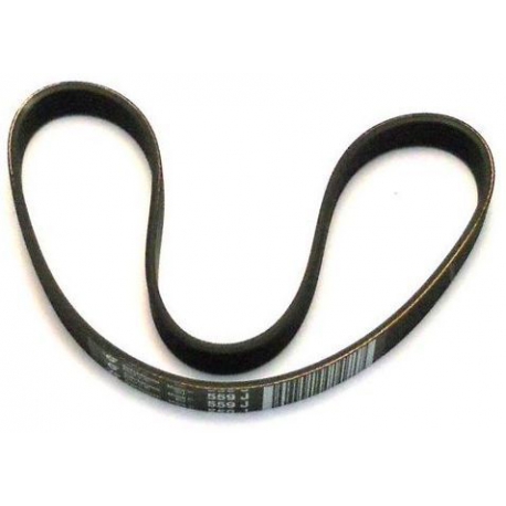 BELT - QFQ588651
