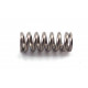 SPRINGS FLAP