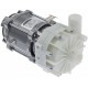 ELECTRICAL PUMP HANNING UP60-357 250W 220/240V 50HZ L:190MM