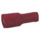 LOT 25 VAINAS HEMBRA ROJAS