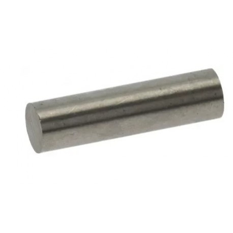 IMANES REED MICRO D.8X25 - FVYQ8873