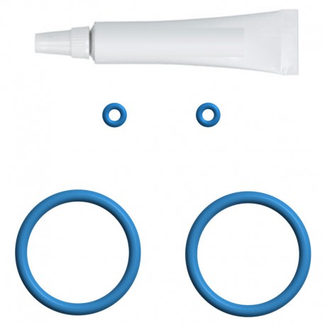 Kit de reparation pour unite de preparation PREMIUM (S avec joints toriques) pour Jura A5 / A7 / A9 / ENA Micro - WHEQ602
