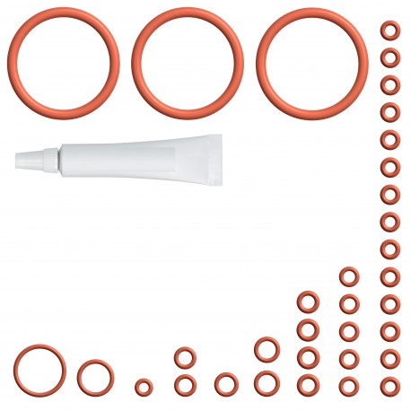 Kit de r?paration pour DeLonghi ECAM - QRY6109