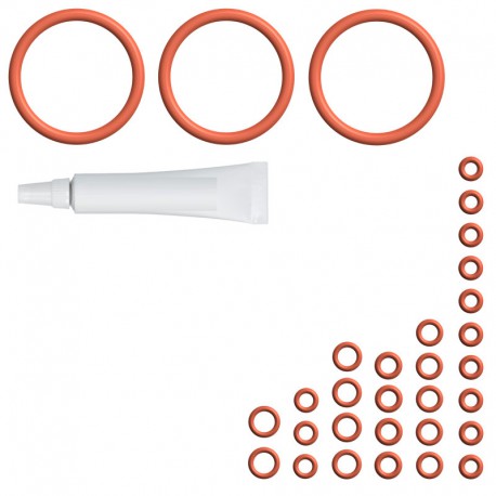 Kit de r?paration pour machines ? caf? ESAM DeLonghi (XL) - QRY6102