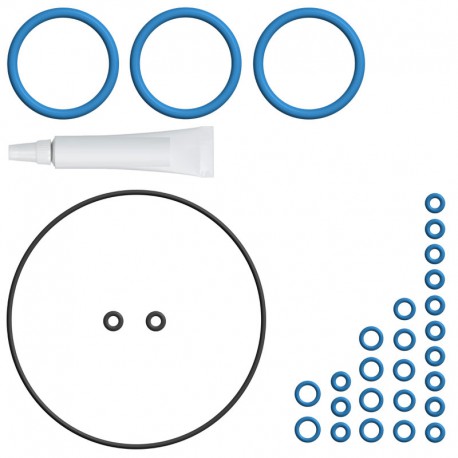 Kit d`entretien de r?paration PREMIUM (XL) pour machines ? caf? DeLonghi EAM - QRY6104