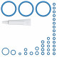Kit de r?paration PREMIUM (XL) pour machines ? caf? DeLonghi ECAM - QRY6115