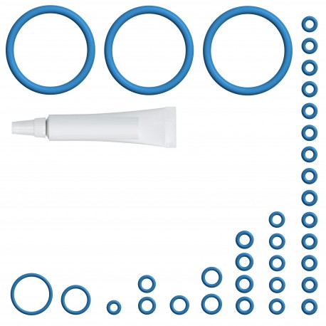 Kit de r?paration PREMIUM (XL) pour machines ? caf? DeLonghi ECAM - QRY6115