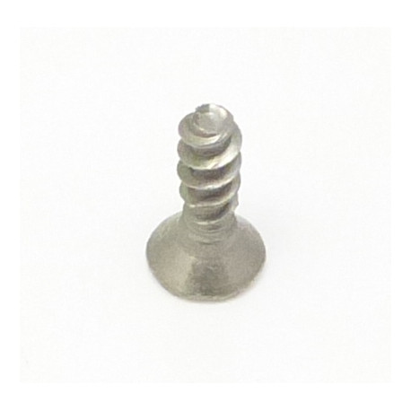 VIS TSP 3X10 PLAST.INOX - FRQ89002