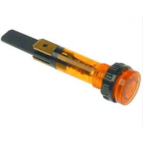SCHAUGLAS ORANGE HERKUNFT - FBSQ6513