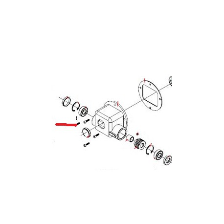 VITE DA 5X14 STAINLESS (Nø4PZ) GENUINE FAMA