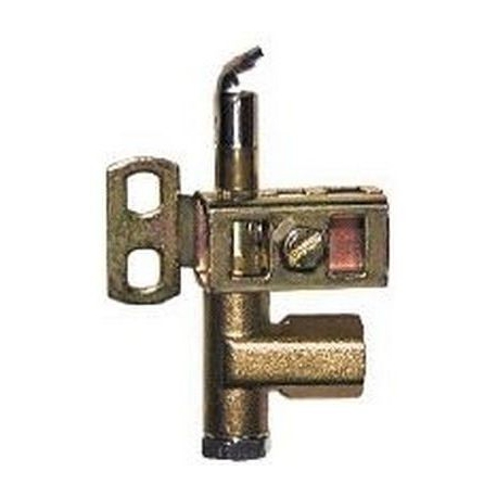 PILOT LIGHT 1 FLAME MULTIGAZ INJ 0.20MM 2POSITIONS - TNQ685