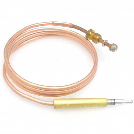 THERMOCOUPLE 850MM M8X1 - TNQ627