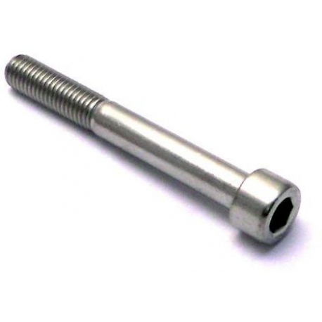 SCREW M8X55MM - TIQ65555