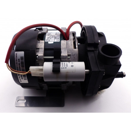 1-PH PUMP 0.60 KW - NGNQ8286