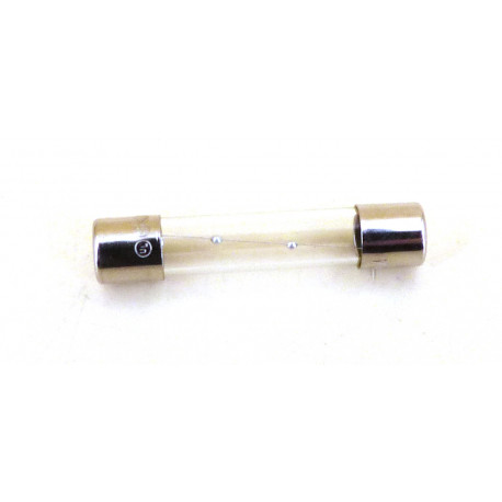 FUSE 2A (BOITE OF 10) - OENQ045