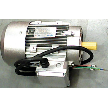 MOTOR - qlq7982