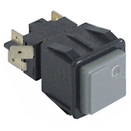 INTERRUTTORE DELLA POMPA - TIQ61804