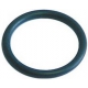 GASKET TORIC Ã­INT:23.40MM THICKNESS 3.53MM - FPQ19