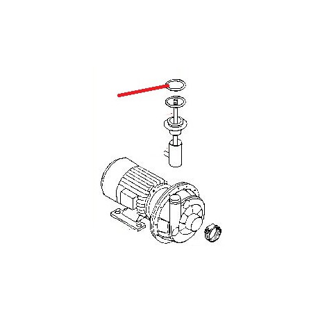 RONDELLE DE TOURNIQUET LAV. - 675865