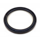GASKET - TIQ14985