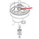 ECROU BORGNE M10 LAIT J X5 ORIGINE DITO SAMA-ELECTROLUX - QFQ5Q5039