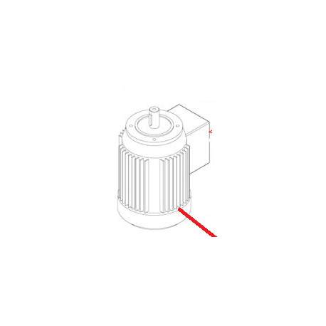 MOTEUR EQ XBE30 ORIGINE DITO SAMA-ELECTROLUX - QFQ5Q8909