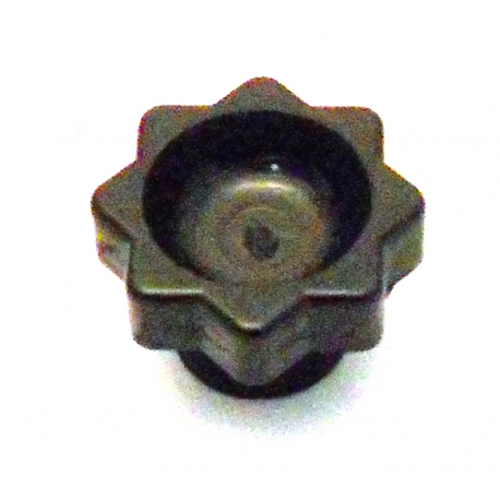 BOUCHON ORIGINE - PQQ749