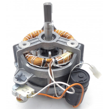MOTEUR R101XL 230V/50 SAV - EBOB0061
