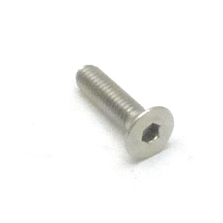 VITE STAINLESS M4X16 TSPEI UNI 5933 - FQ7063