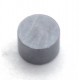 D=6 H=4 MAGNET P0049