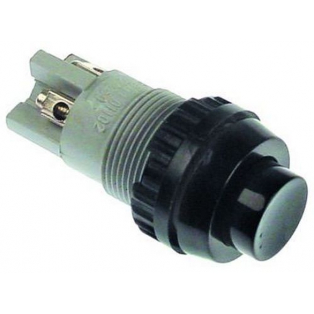 PALPEUR D18.2MM 250V 2A 2-POLE - TIQ77942