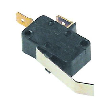 MICRORUPTOR CON PALANCA - TIQ77250