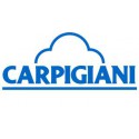 Spare parts for CARPIGIANI coffee machines