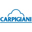 Spare parts CARPIGIANI for commercial and industrial refrigeration