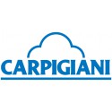 Pezzi di ricambi CARPIGIANI di commerciale ed industriale